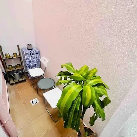 Appartement Graca *